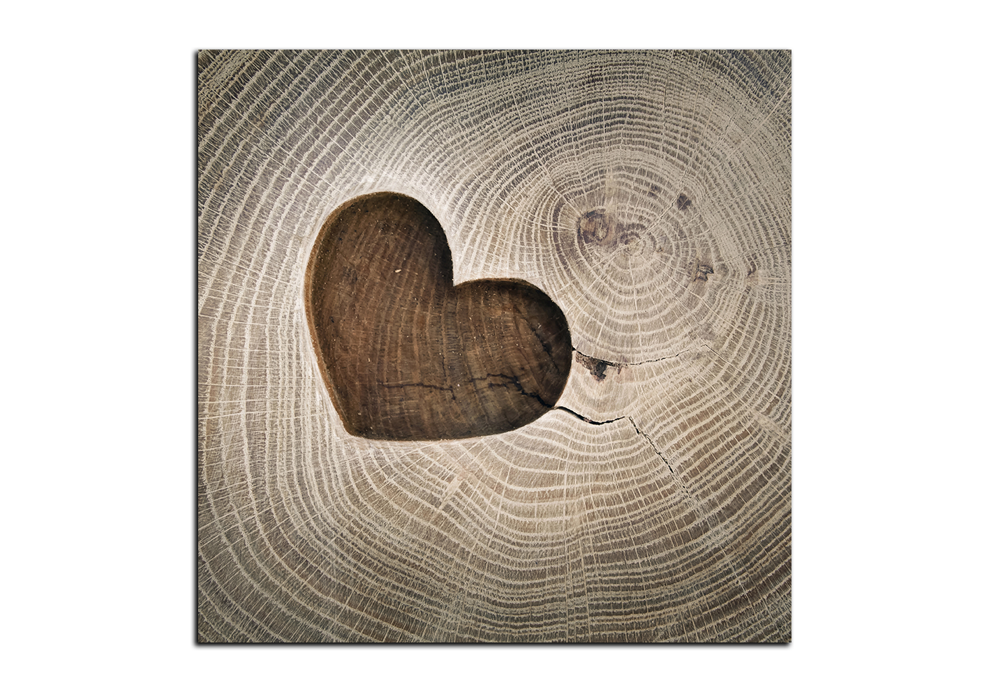 Obraz na plátně - Srdce na dřevěném pozadí - čtverec